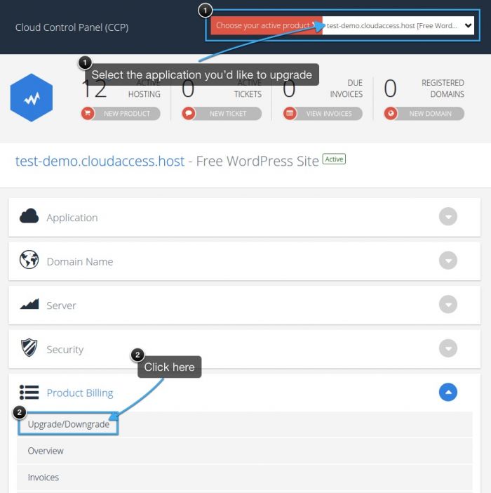upgradedemo1