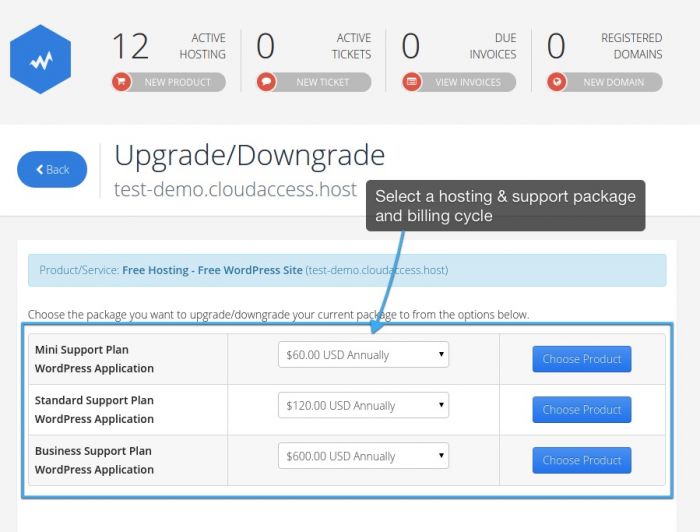 upgradedemo2
